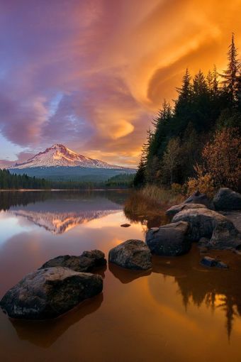 Mount Hood at Sunset, Across a Lake with Pine Trees